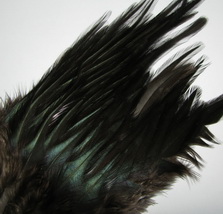 rooster saddle black natural